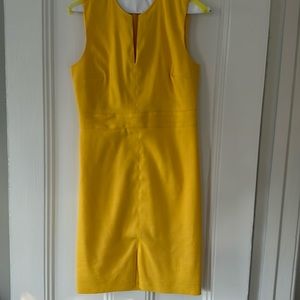 Ann Taylor Dress